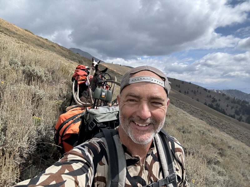 Darin on a sagebrush ridge, with loaded pack llamas on the trail behind him